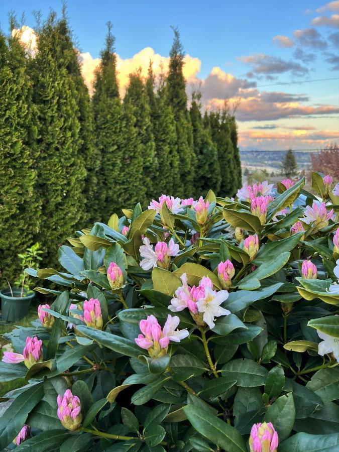 Lovely J Home -Stunning River View Cozy Two Bedroom Private Suite New Westminster Exterior photo